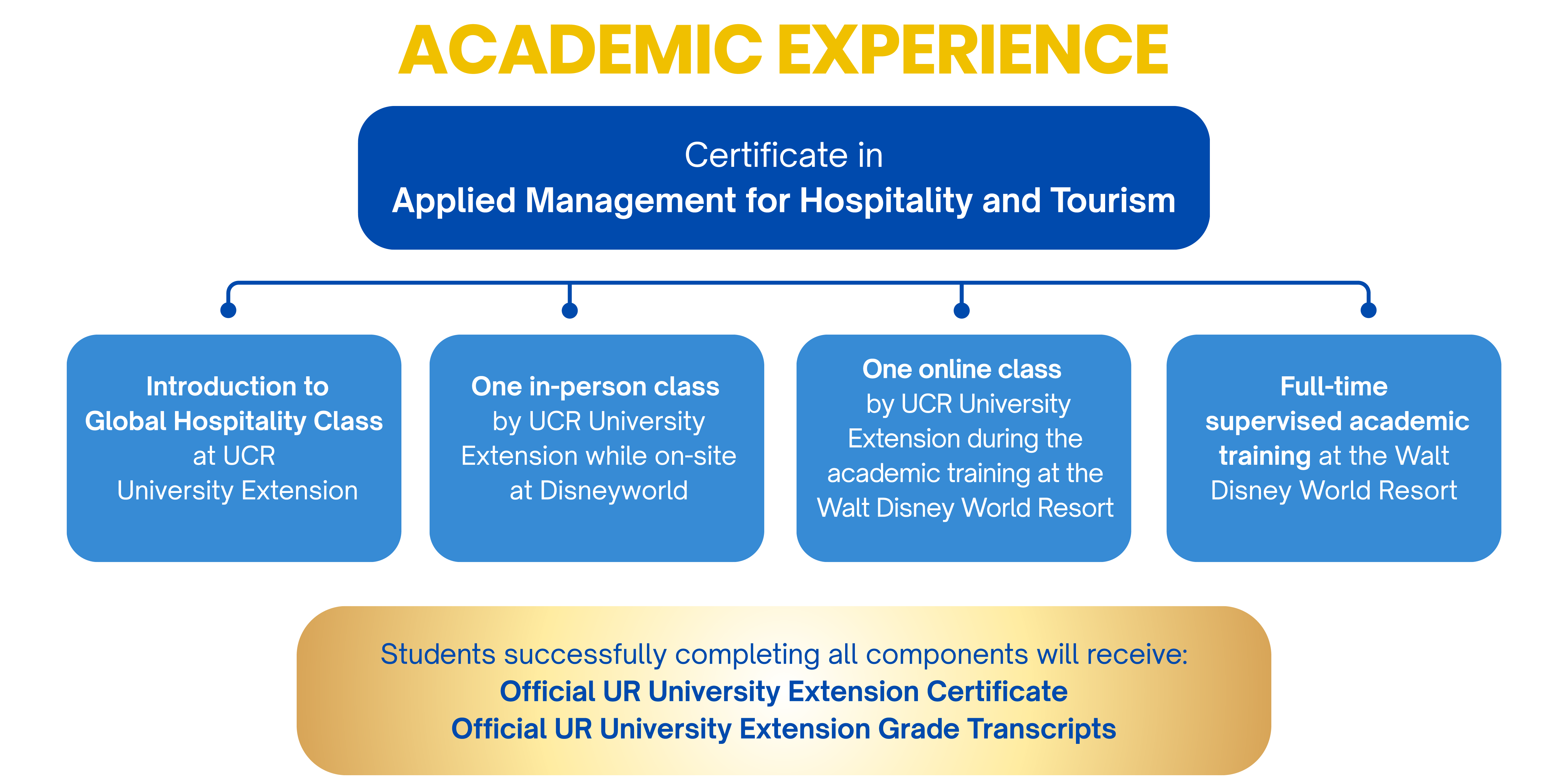 Academic Experience Disney International Program